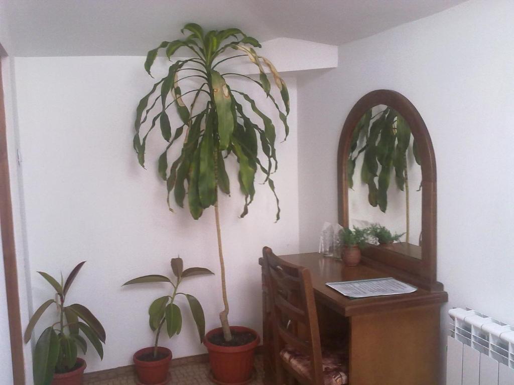 Guest House Todorini Kashti コプリフシティツァ 部屋 写真